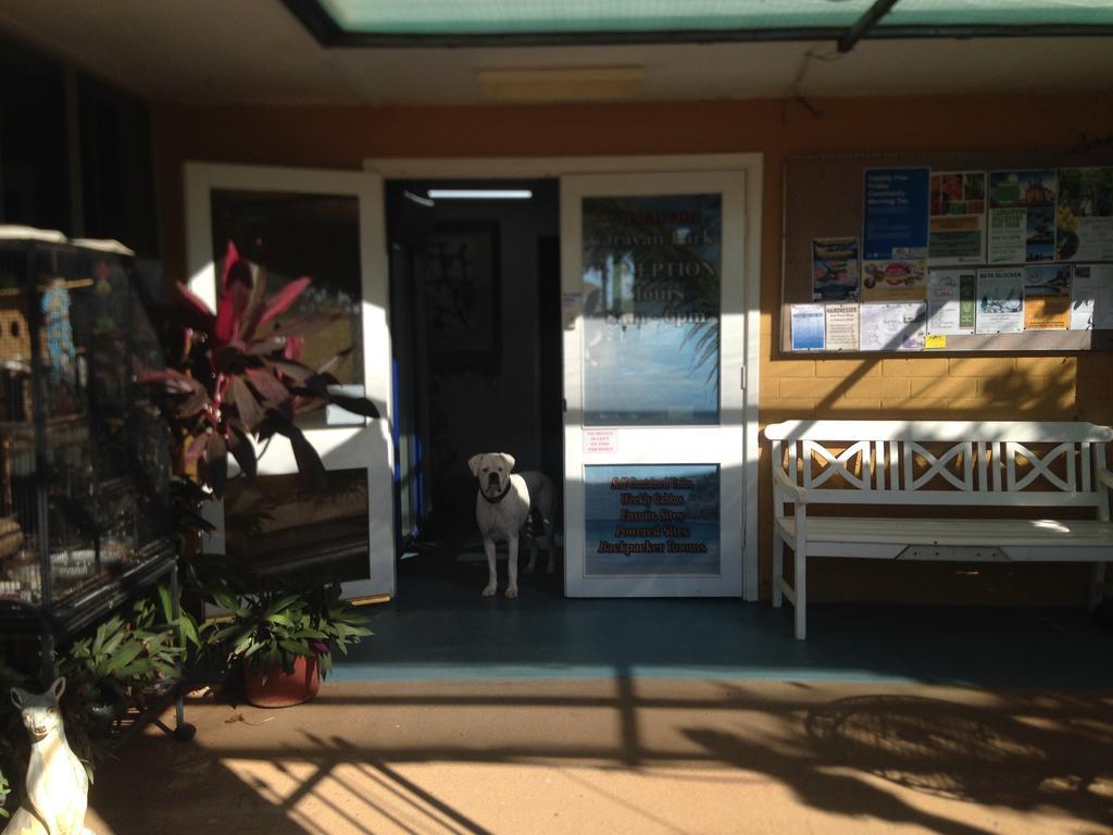 Carnarvon Caravan Park Bagian luar foto